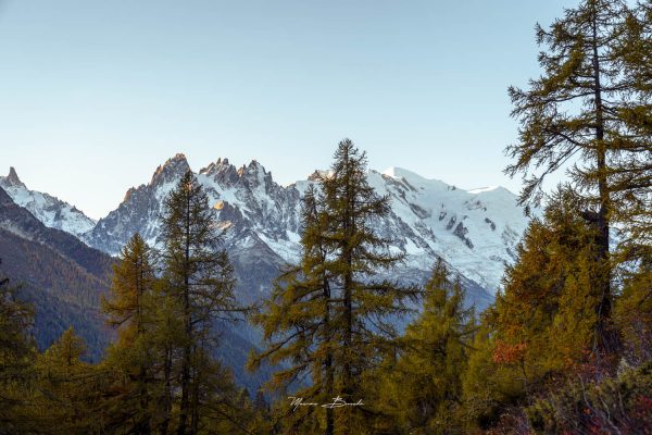 Aiguilles de Chamonix à l'Automne et leurs sapins