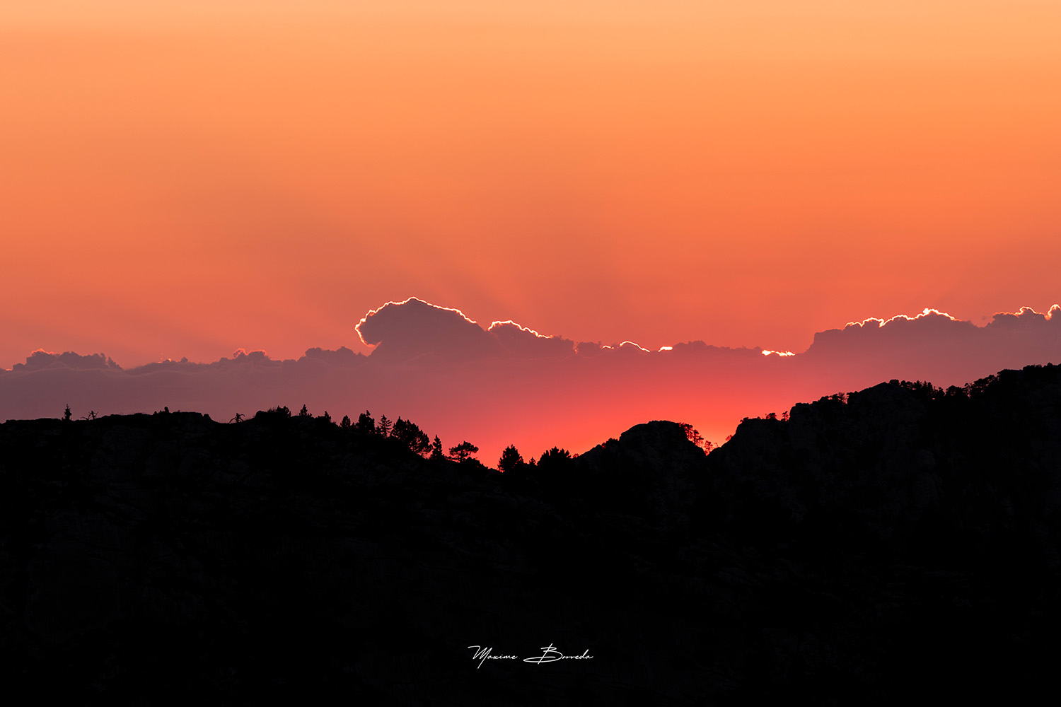 Maxime Borreda - Arbres en silhouettes au coucher de soleil